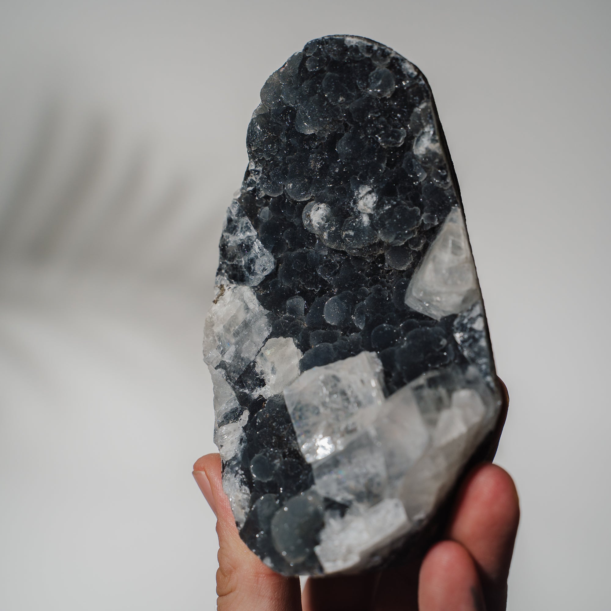 Schwarzes Chalcedon x Apophyllit 137C