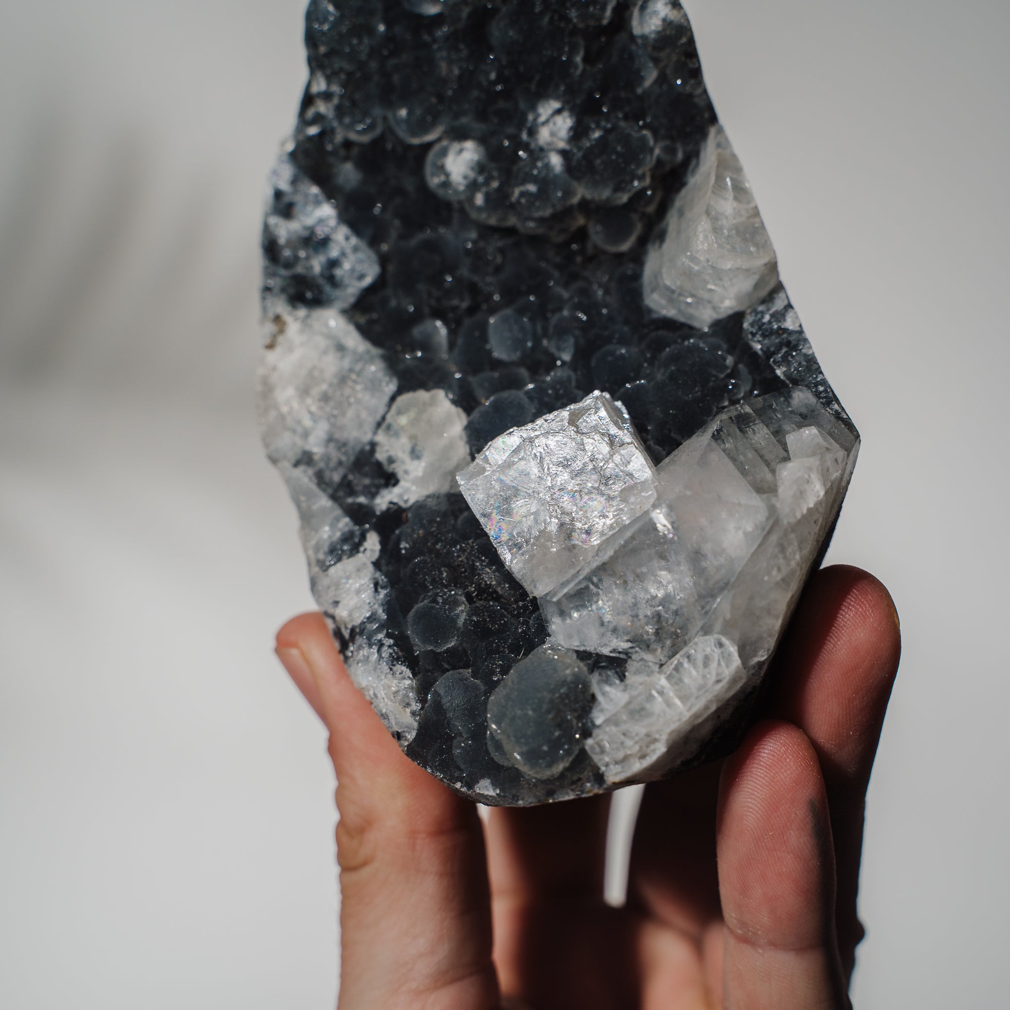 Schwarzes Chalcedon x Apophyllit 137C