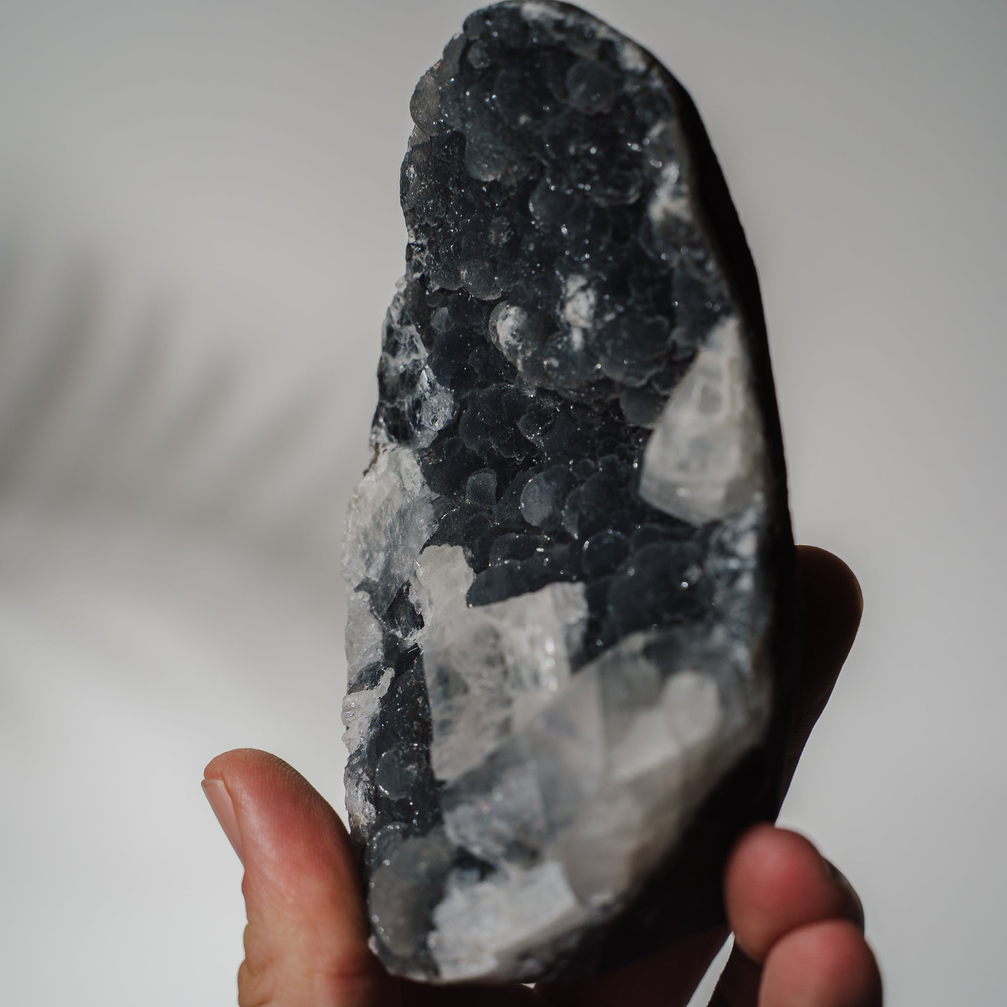 Schwarzes Chalcedon x Apophyllit 137C