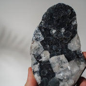 Schwarzes Chalcedon x Apophyllit 137C