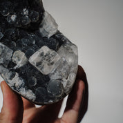 Schwarzes Chalcedon x Apophyllit 137C