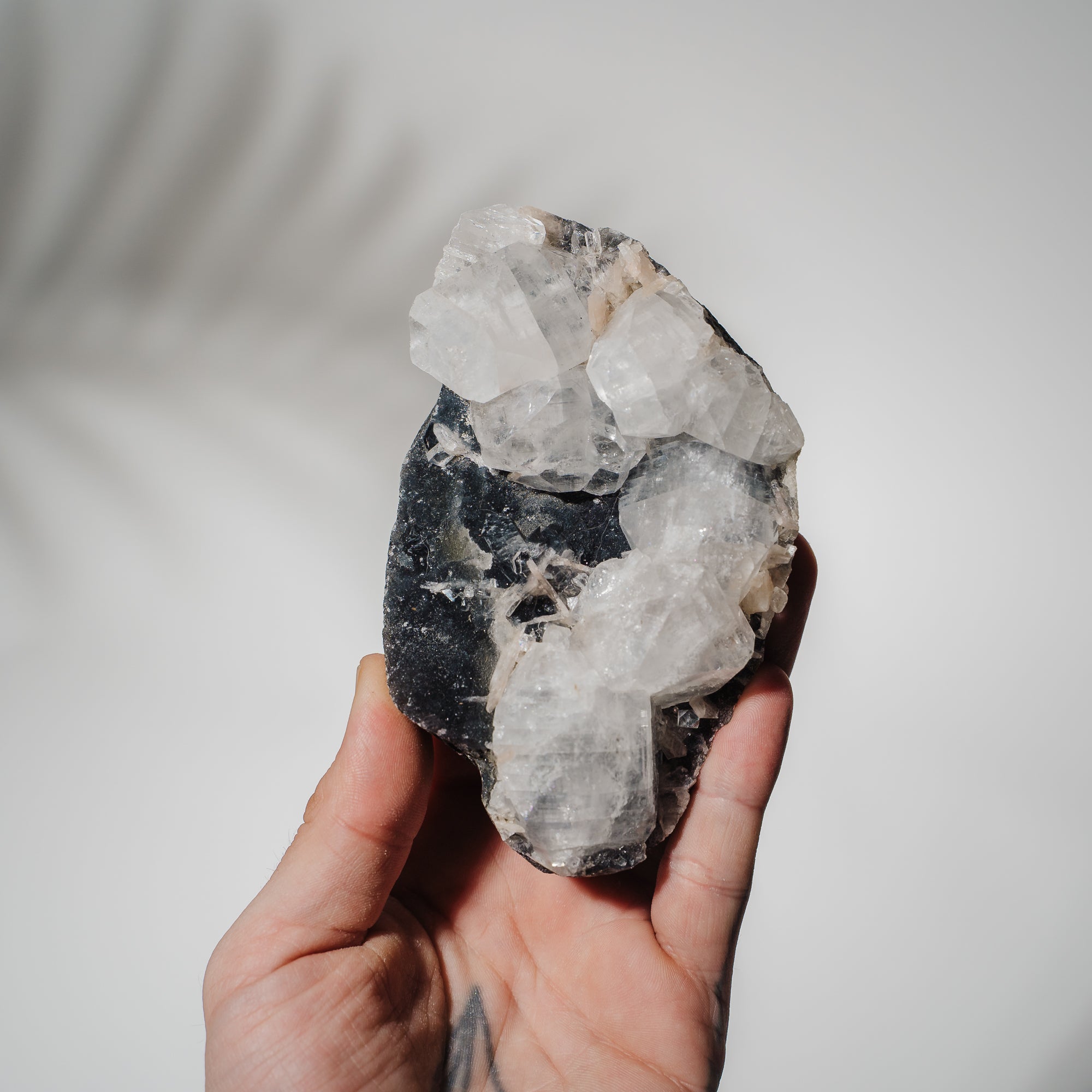 Schwarzes Chalcedon x Apophyllit 139C