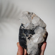 Schwarzes Chalcedon x Apophyllit 139C