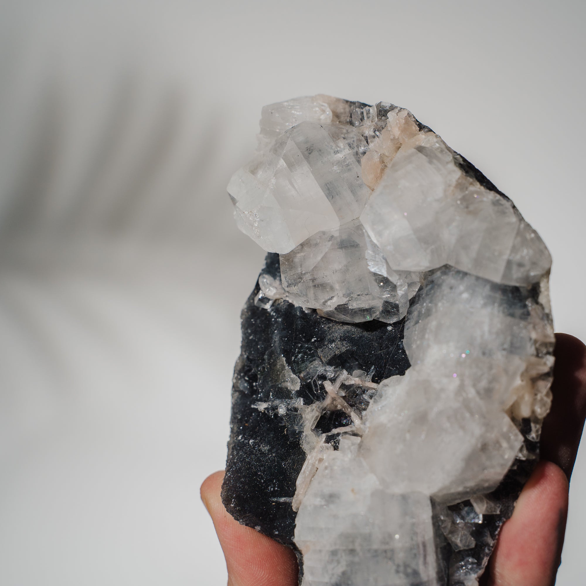 Schwarzes Chalcedon x Apophyllit 139C