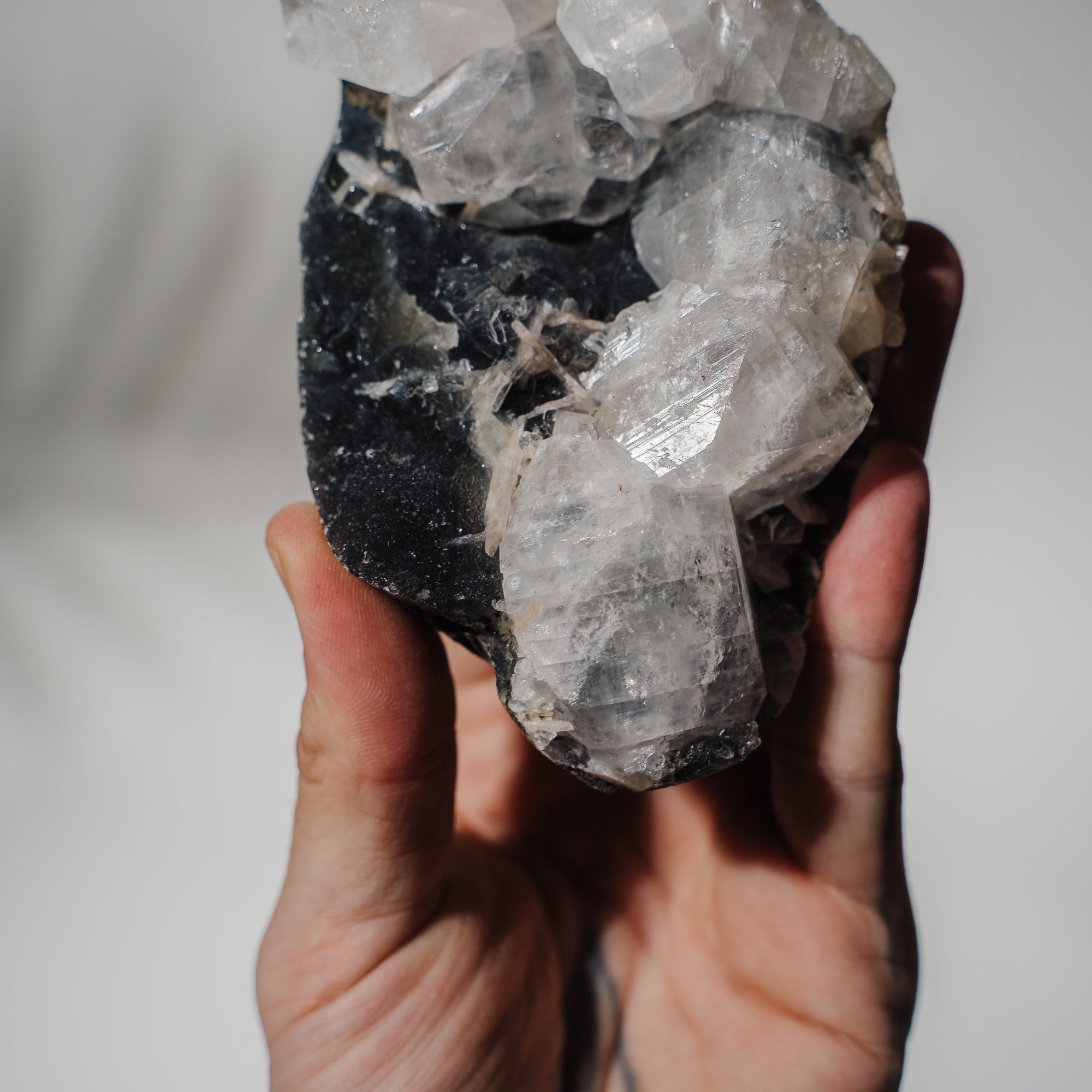 Schwarzes Chalcedon x Apophyllit 139C
