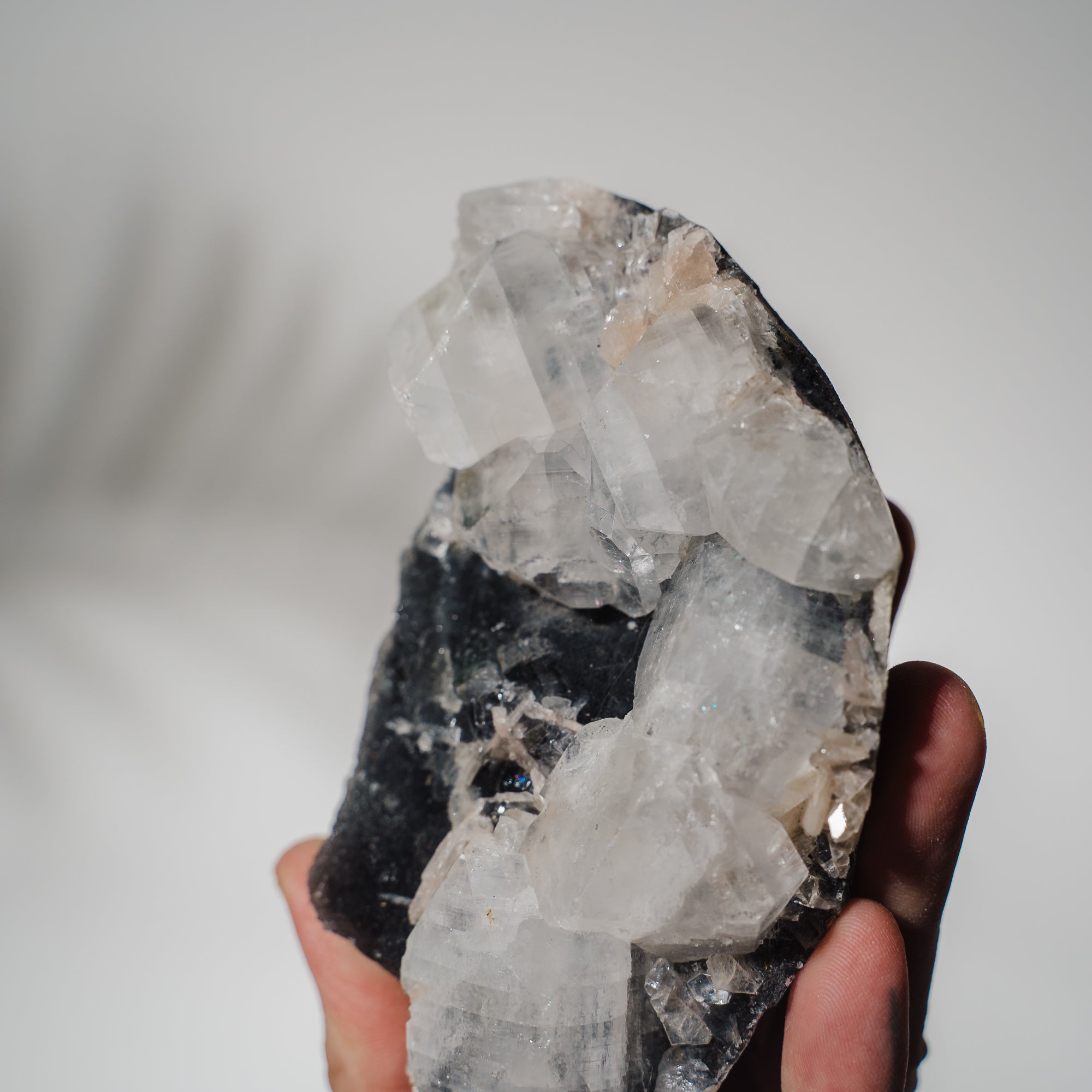 Schwarzes Chalcedon x Apophyllit 139C