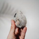 Schwarzes Chalcedon x Apophyllit 52C