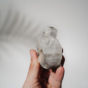 Schwarzes Chalcedon x Apophyllit 52C