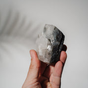 Schwarzes Chalcedon x Apophyllit 52C