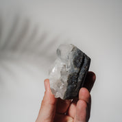 Schwarzes Chalcedon x Apophyllit 52C