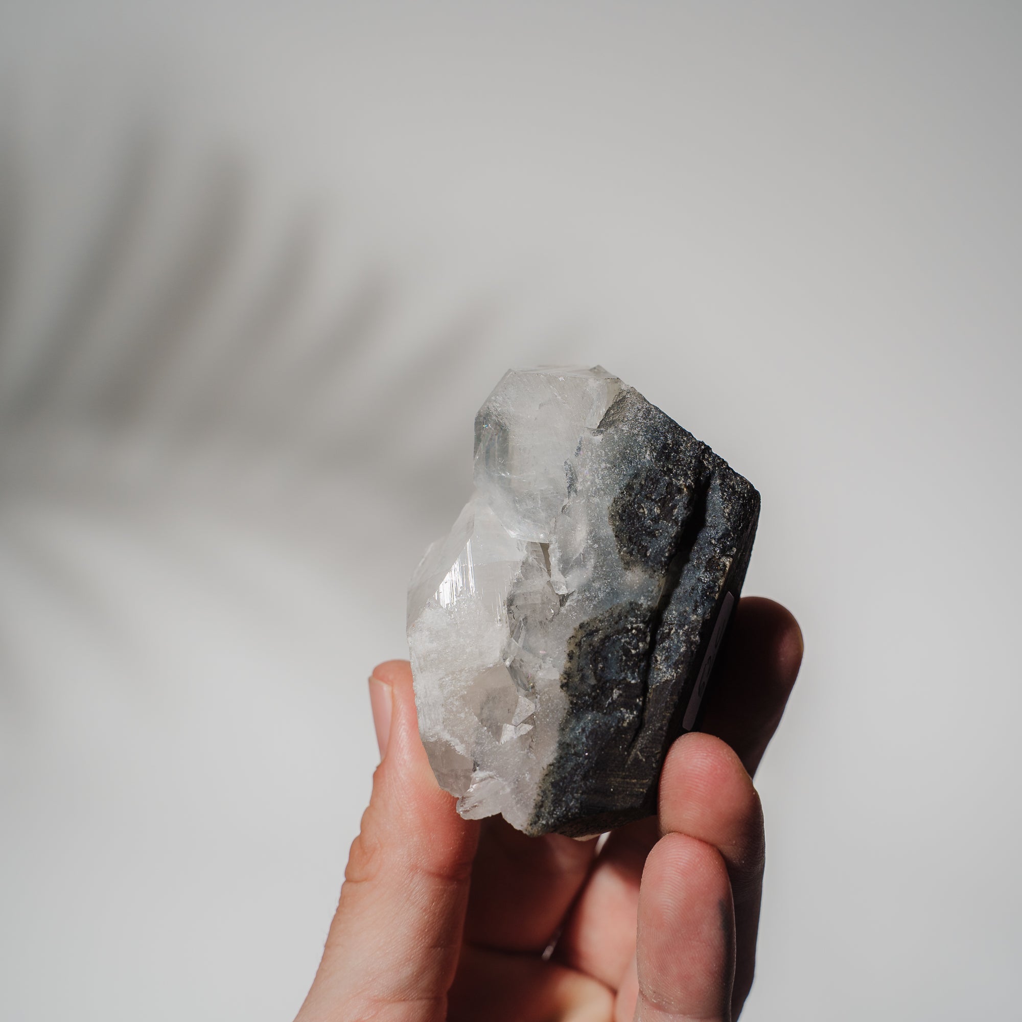 Schwarzes Chalcedon x Apophyllit 52C