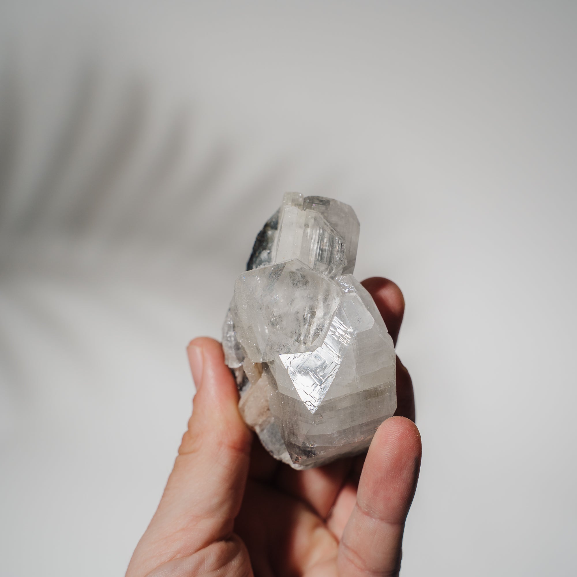 Schwarzes Chalcedon x Apophyllit 52C