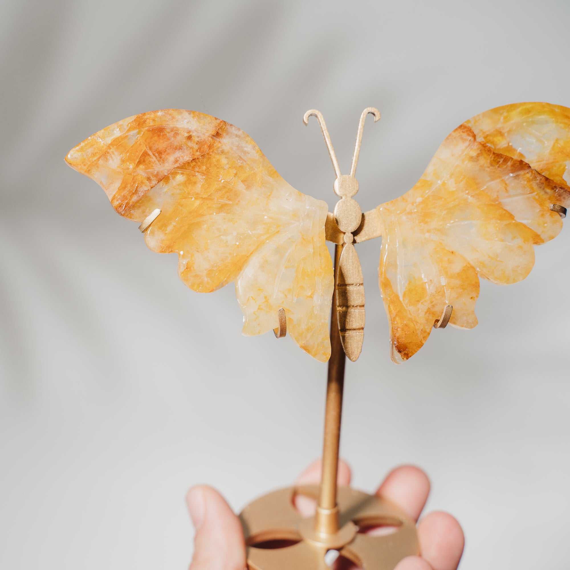 Golden Healer Schmetterling 36GA