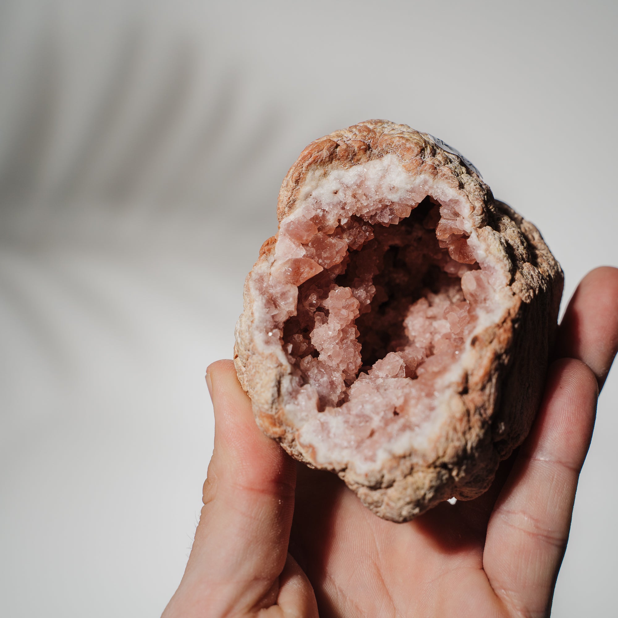 Pinke Amethyst Geode 129PA