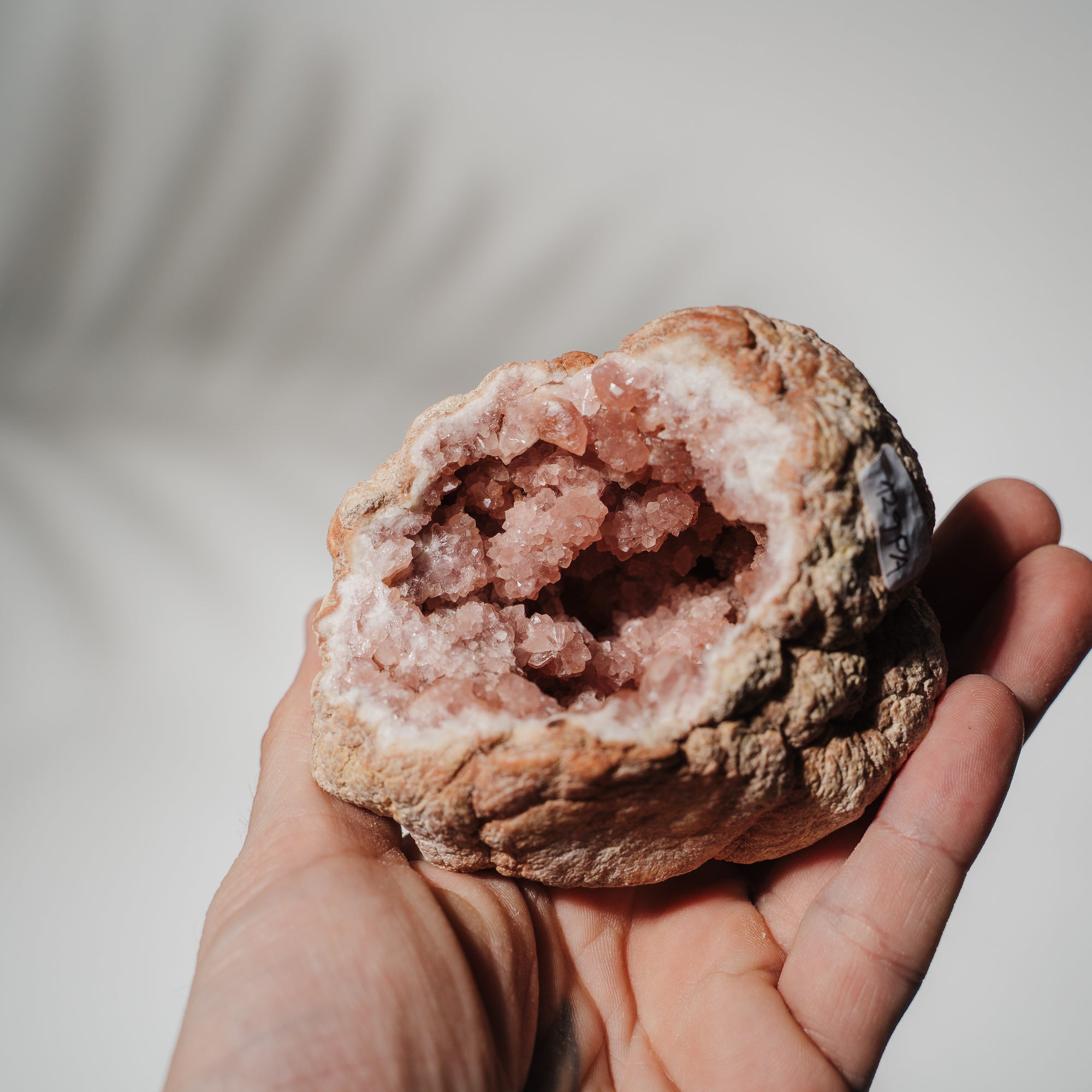 Pinke Amethyst Geode 129PA