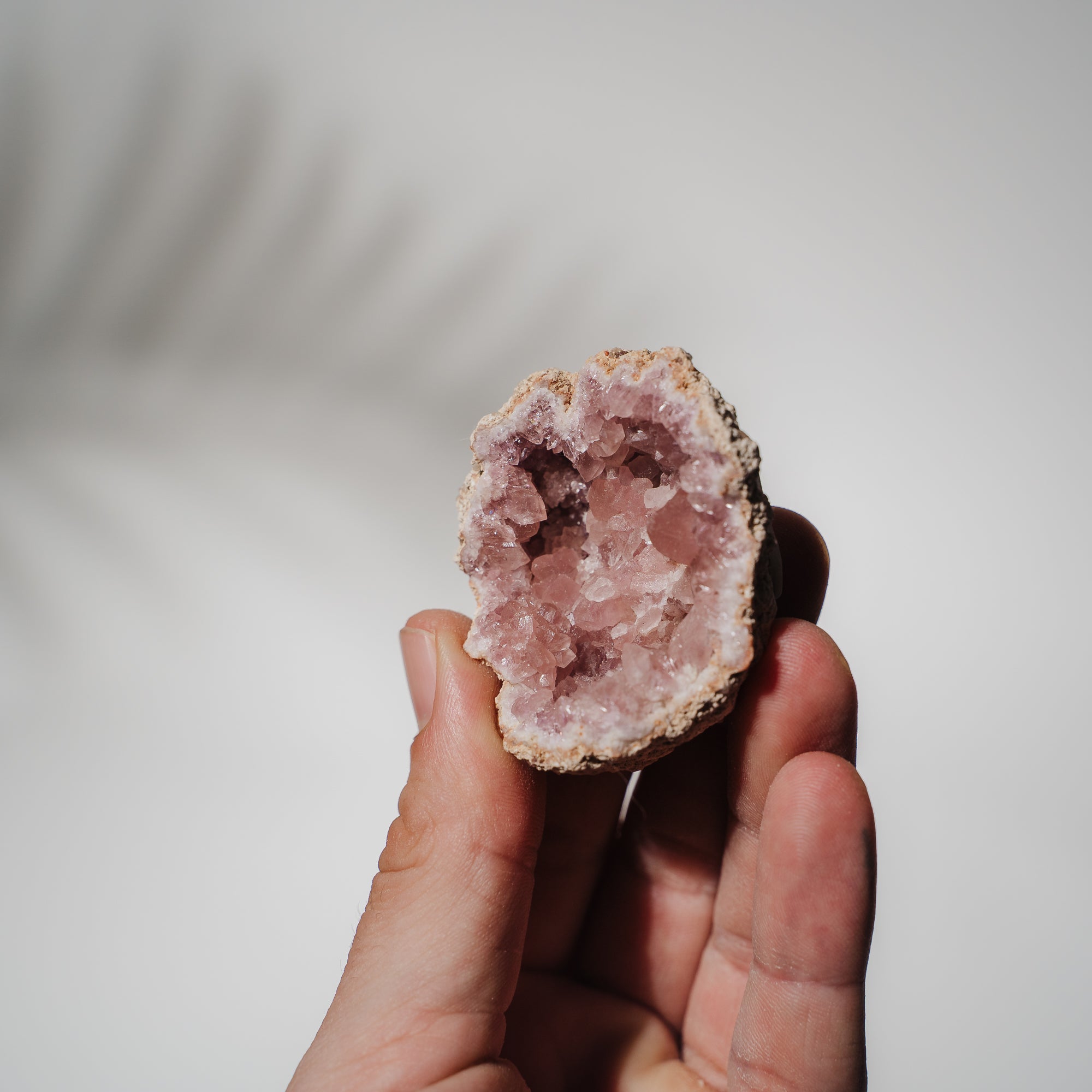 Pinke Amethyst Geode 19PA