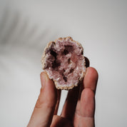Pinke Amethyst Geode 19PA