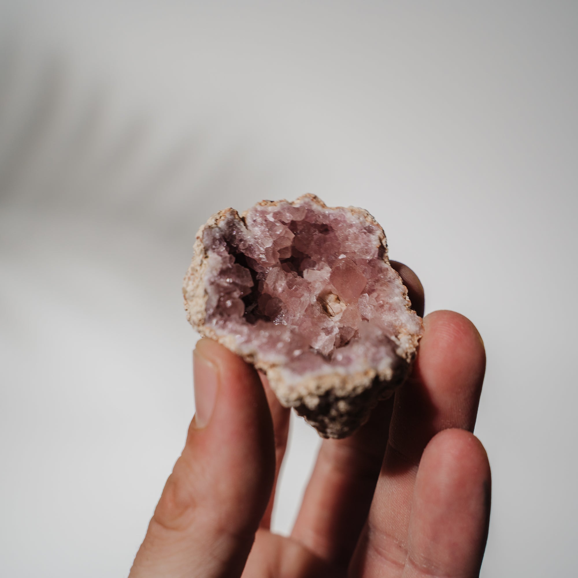 Pinke Amethyst Geode 19PA