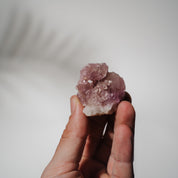 Pinke Amethyst Geode 20PA