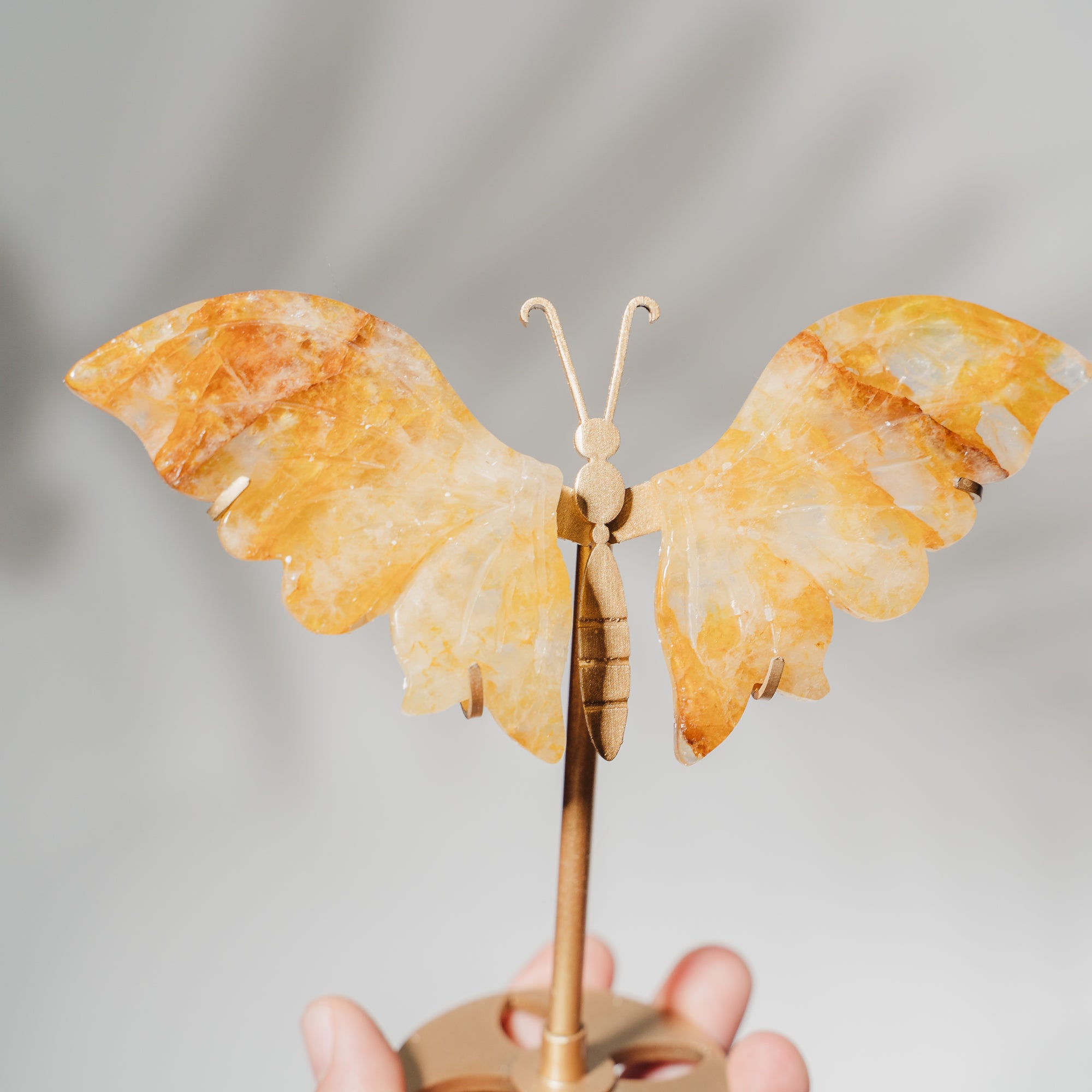 Golden Healer Schmetterling 36GA