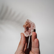 Pinke Amethyst Geode 18PA