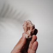 Pinke Amethyst Geode 23PAA