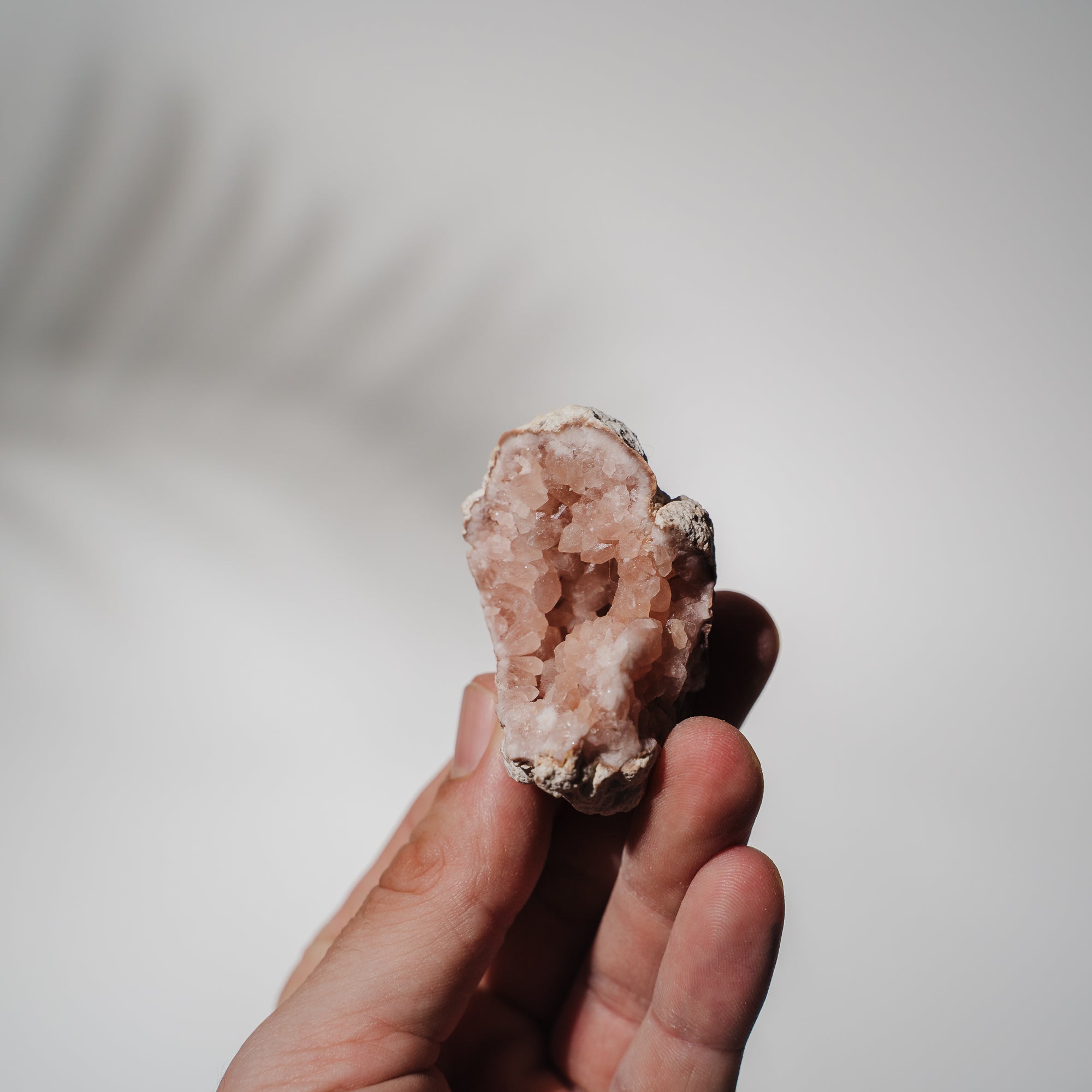 Pinke Amethyst Geode 23PAA