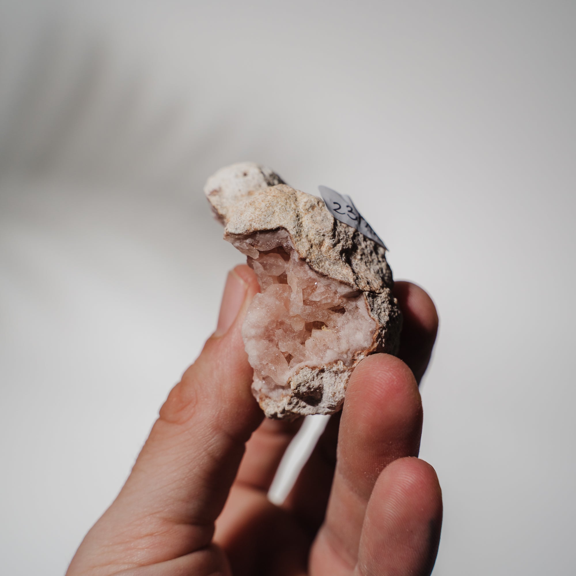 Pinke Amethyst Geode 23PAA