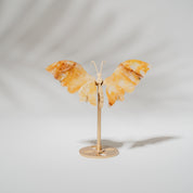 Golden Healer Schmetterling 36GA