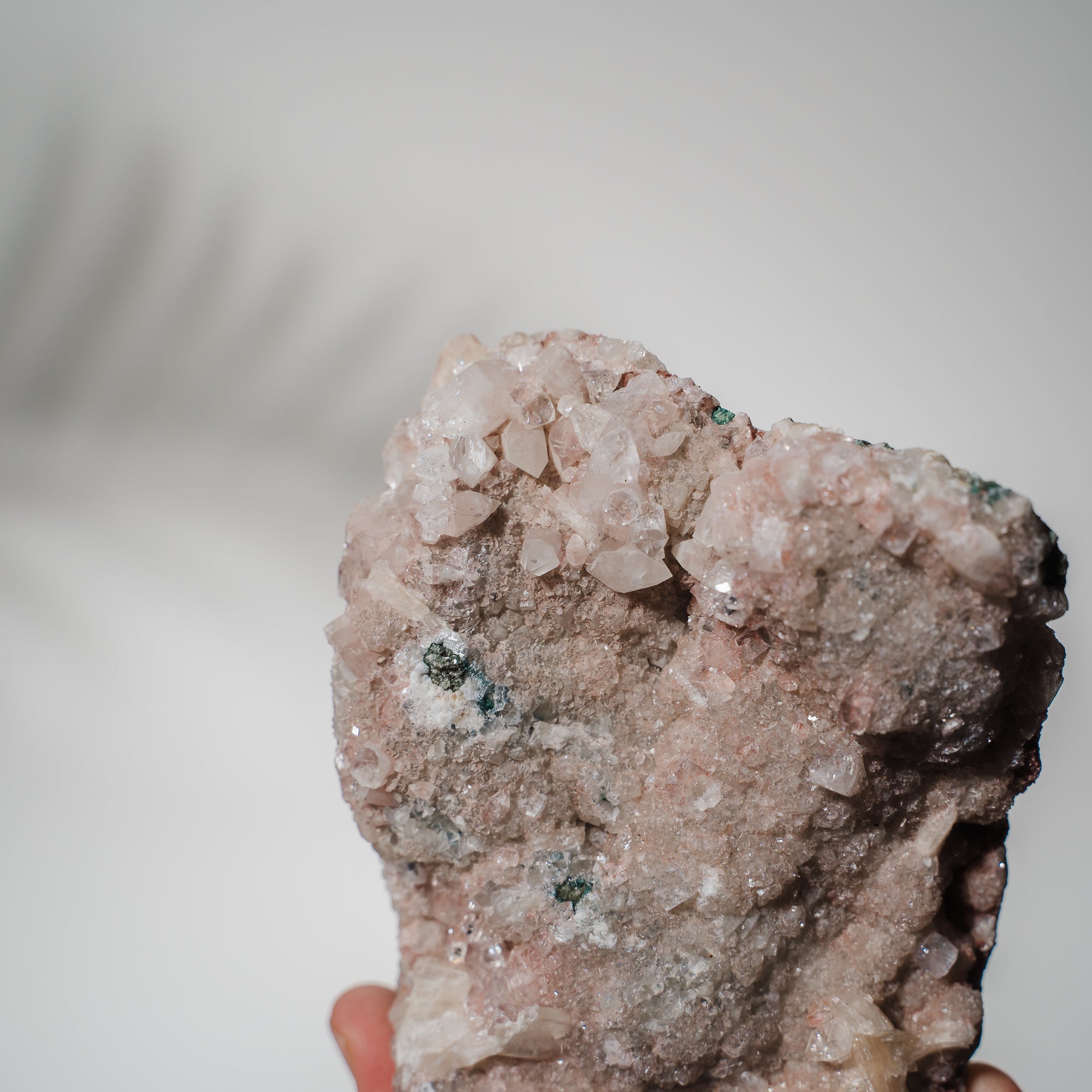 Pinke Apophyllit Stufe 139P