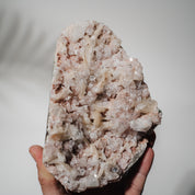 Pinke Apophyllit Stufe 194P