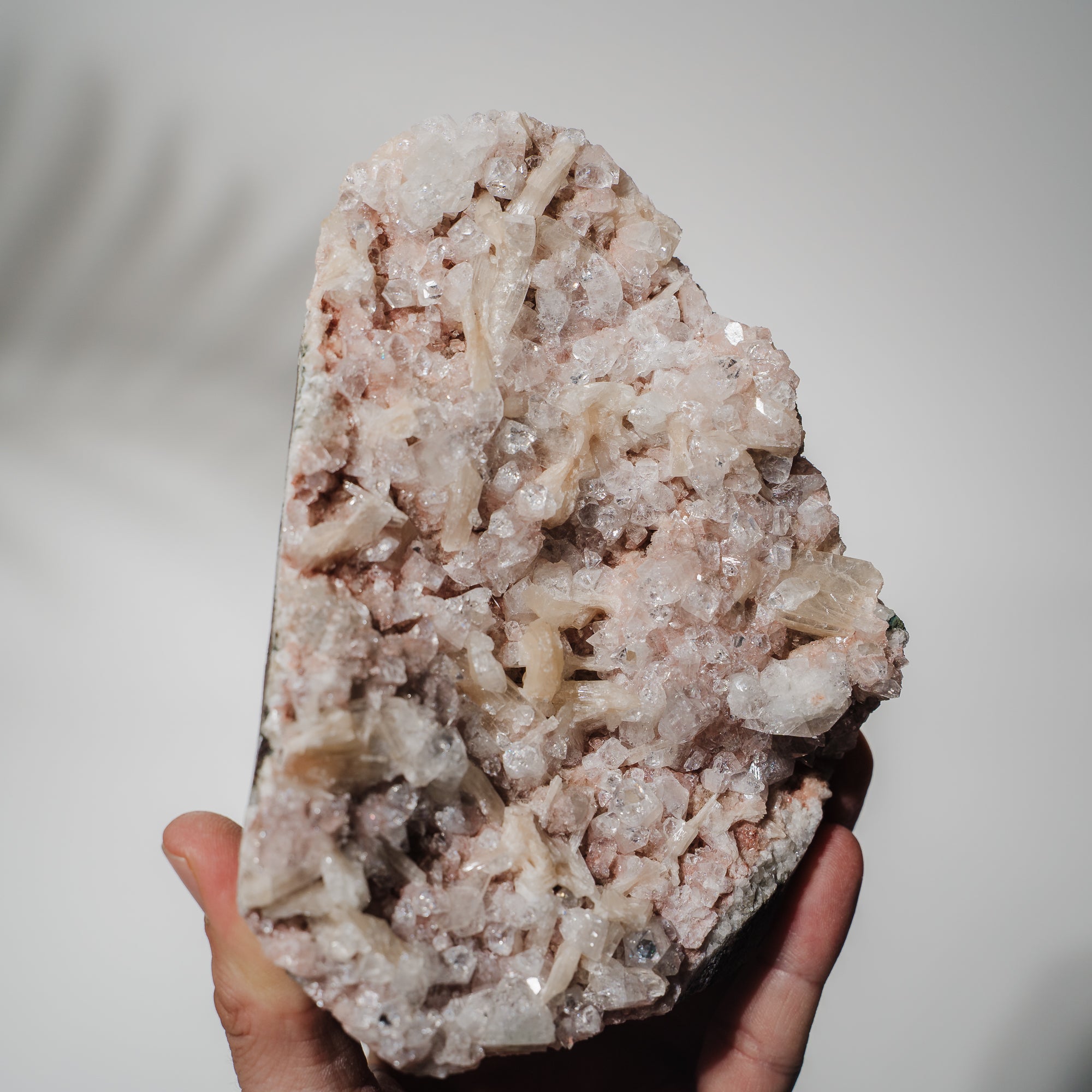 Pinke Apophyllit Stufe 194P