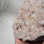 Pinke Apophyllit Stufe 194P
