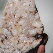 Pinke Apophyllit Stufe 194P