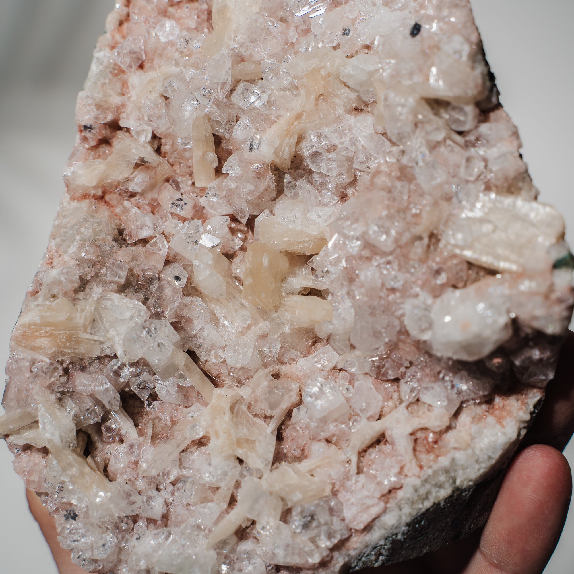 Pinke Apophyllit Stufe 194P
