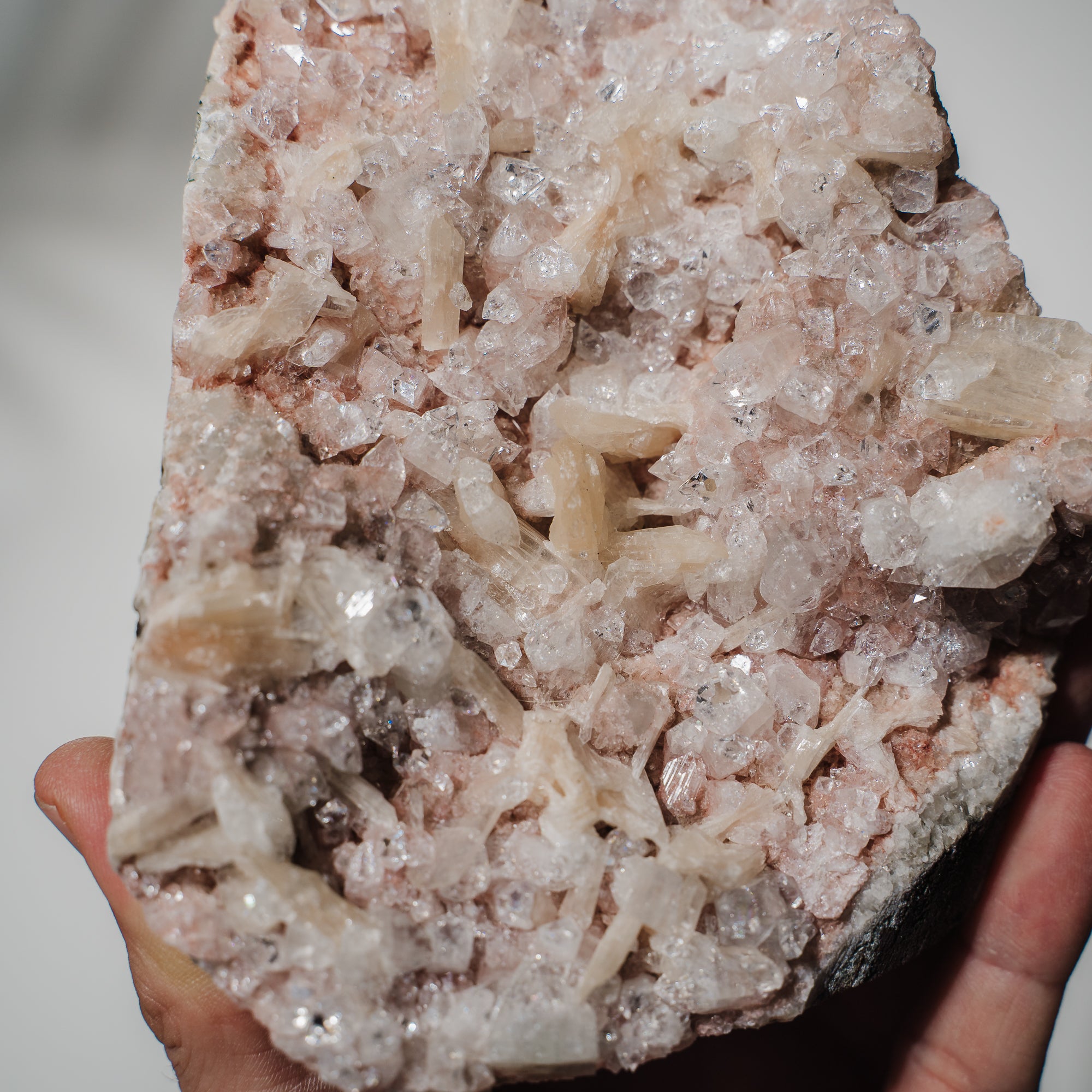 Pinke Apophyllit Stufe 194P