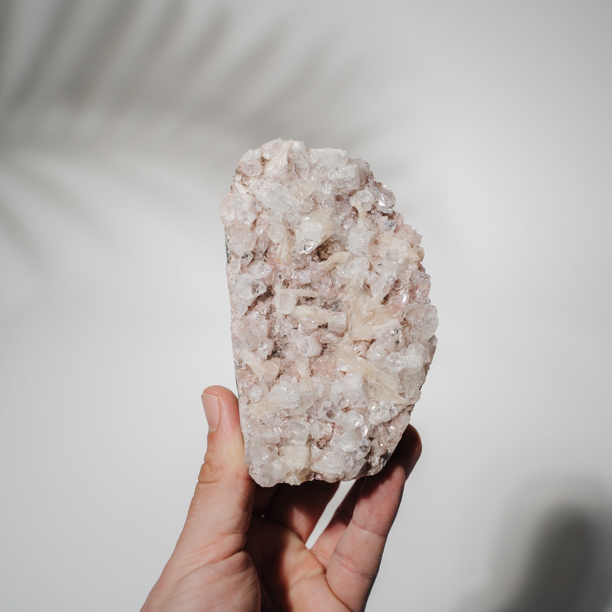 Pinke Apophyllit Stufe 89P