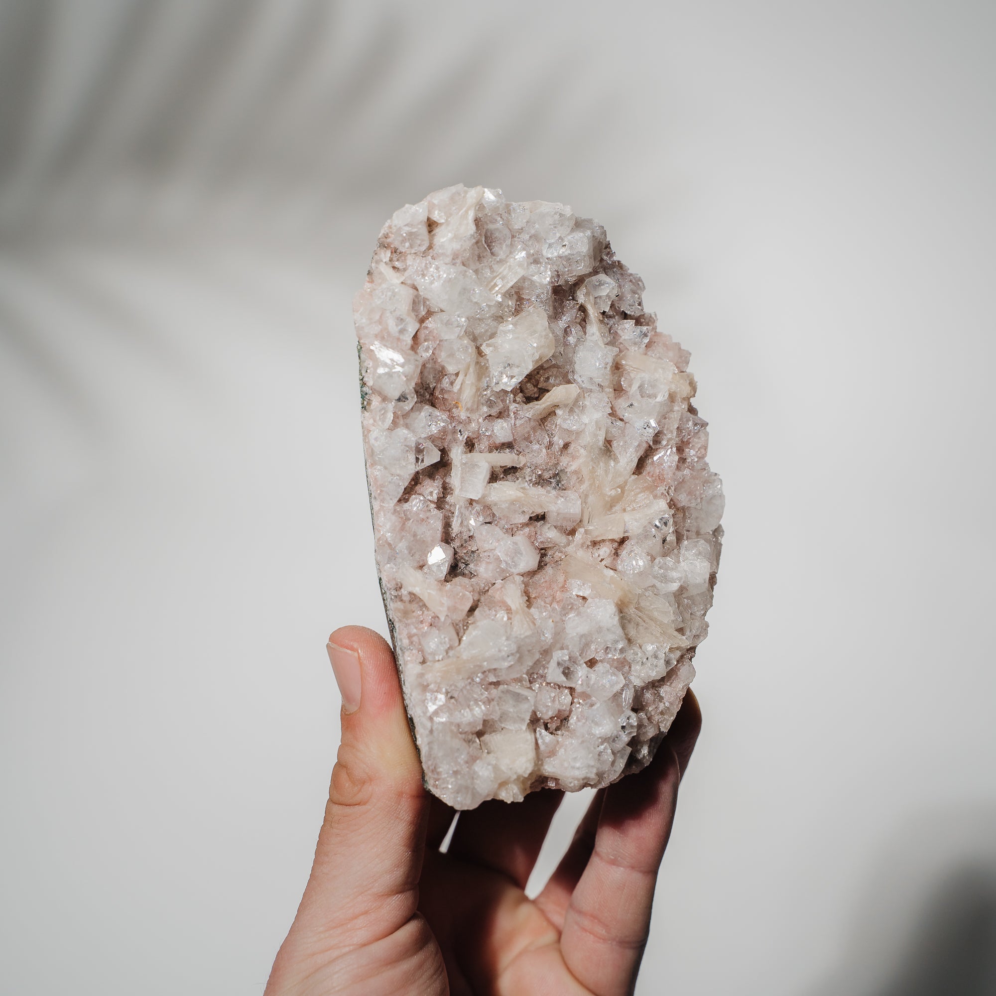 Pinke Apophyllit Stufe 89P