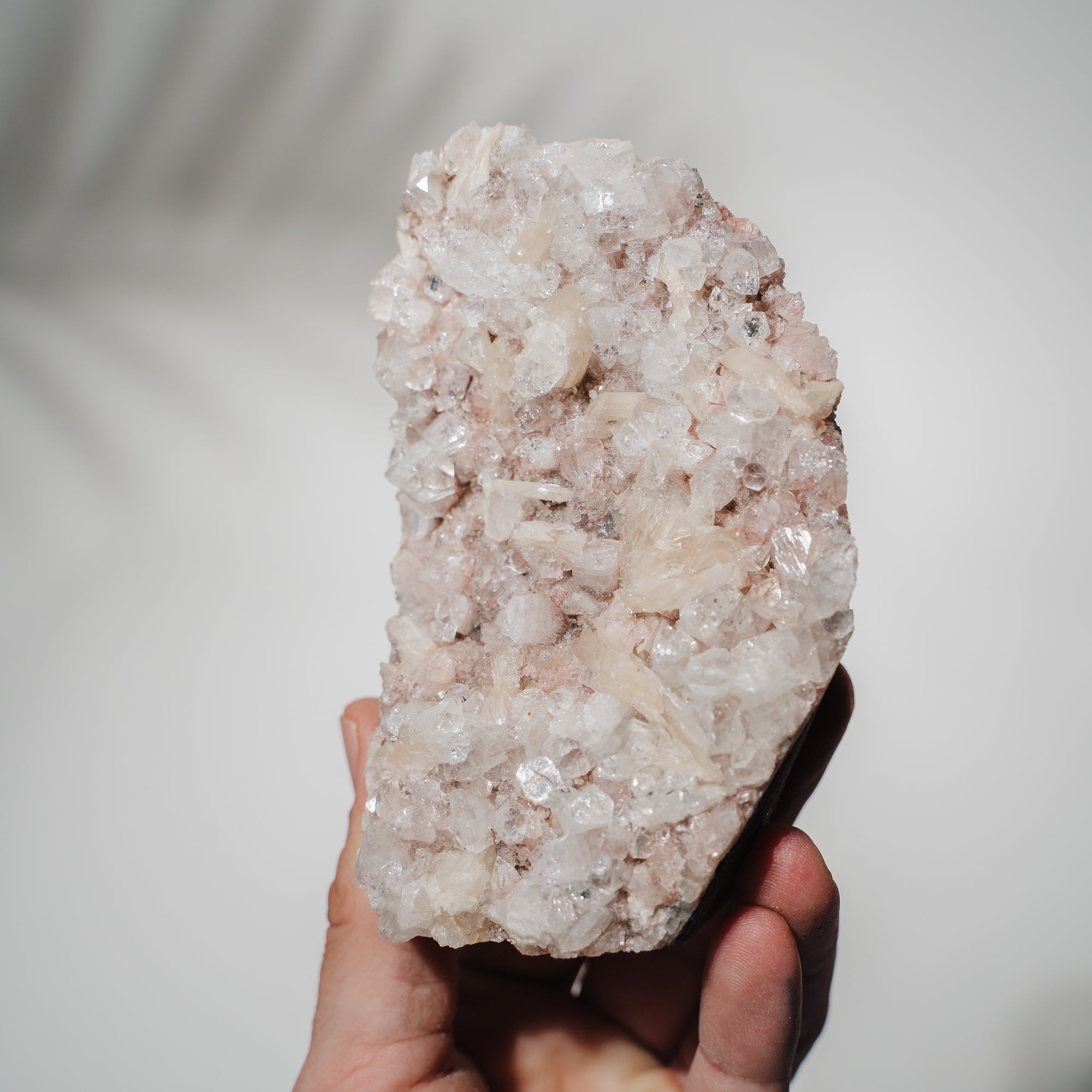 Pinke Apophyllit Stufe 89P