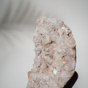 Pinke Apophyllit Stufe 89P