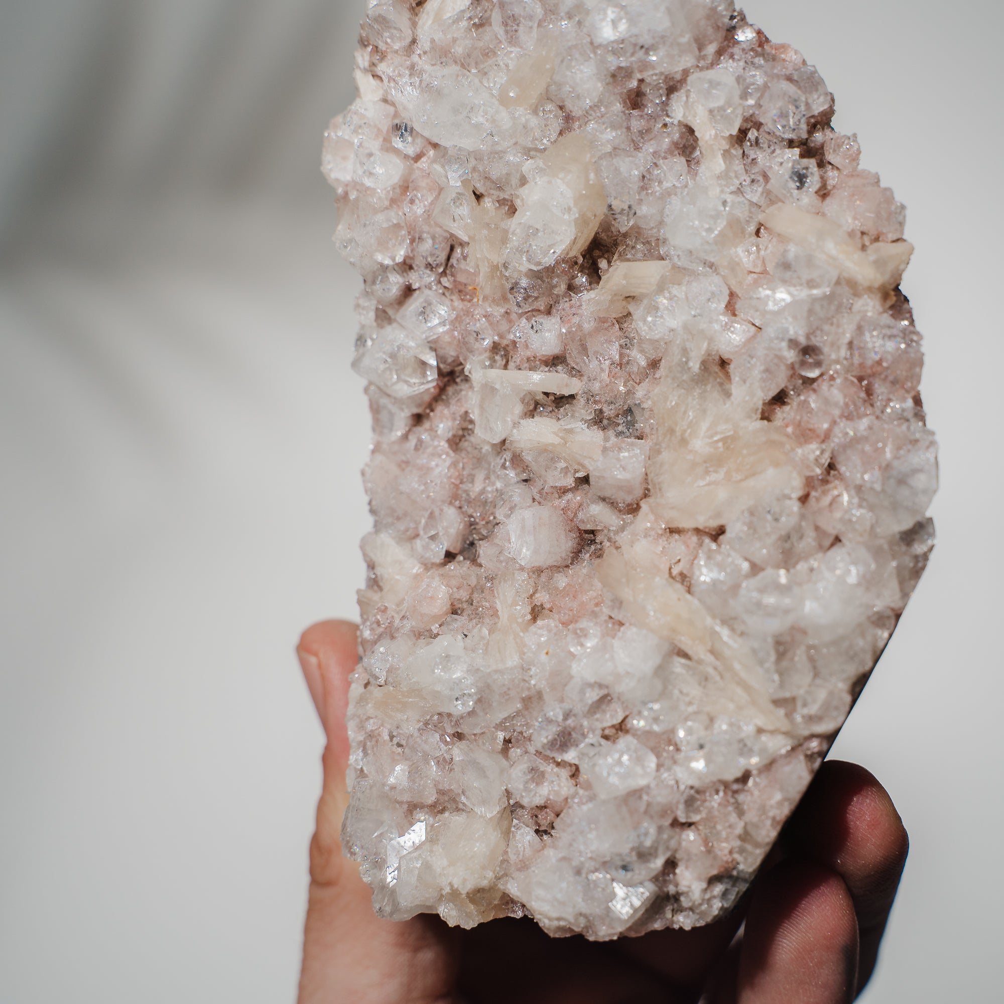 Pinke Apophyllit Stufe 89P