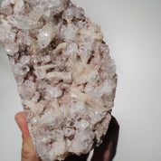 Pinke Apophyllit Stufe 89P