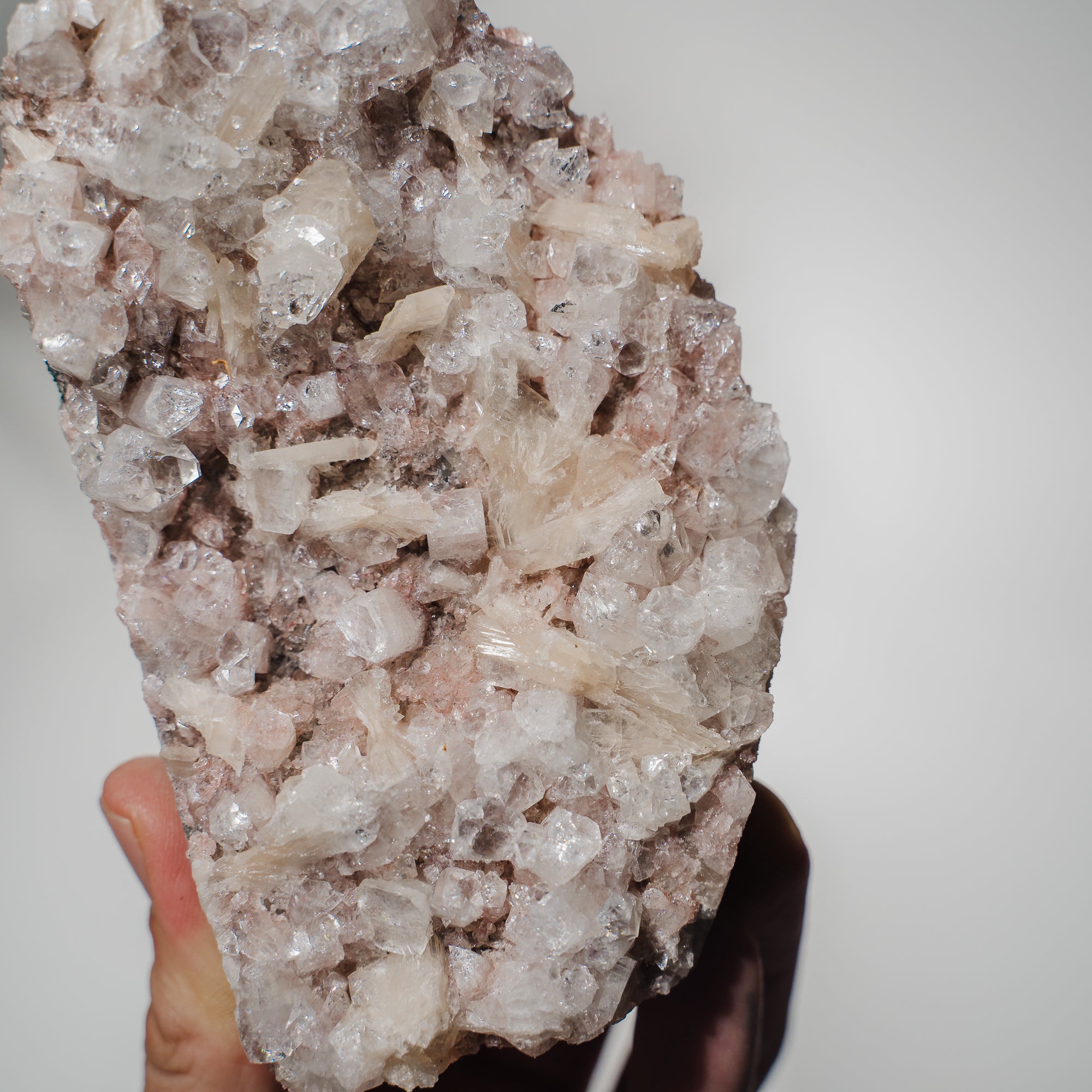 Pinke Apophyllit Stufe 89P