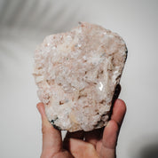 Pinke Apophyllit Stufe 112P