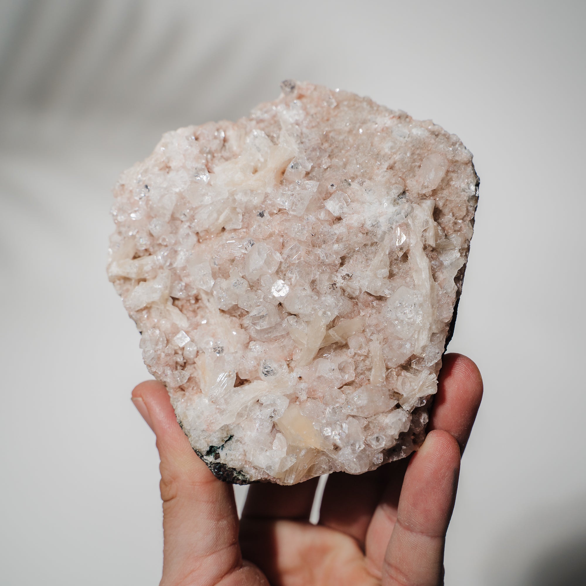 Pinke Apophyllit Stufe 112P