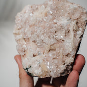Pinke Apophyllit Stufe 112P