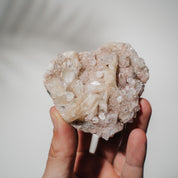 Pinke Apophyllit Stufe 37P
