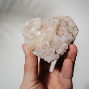 Pinke Apophyllit Stufe 37P