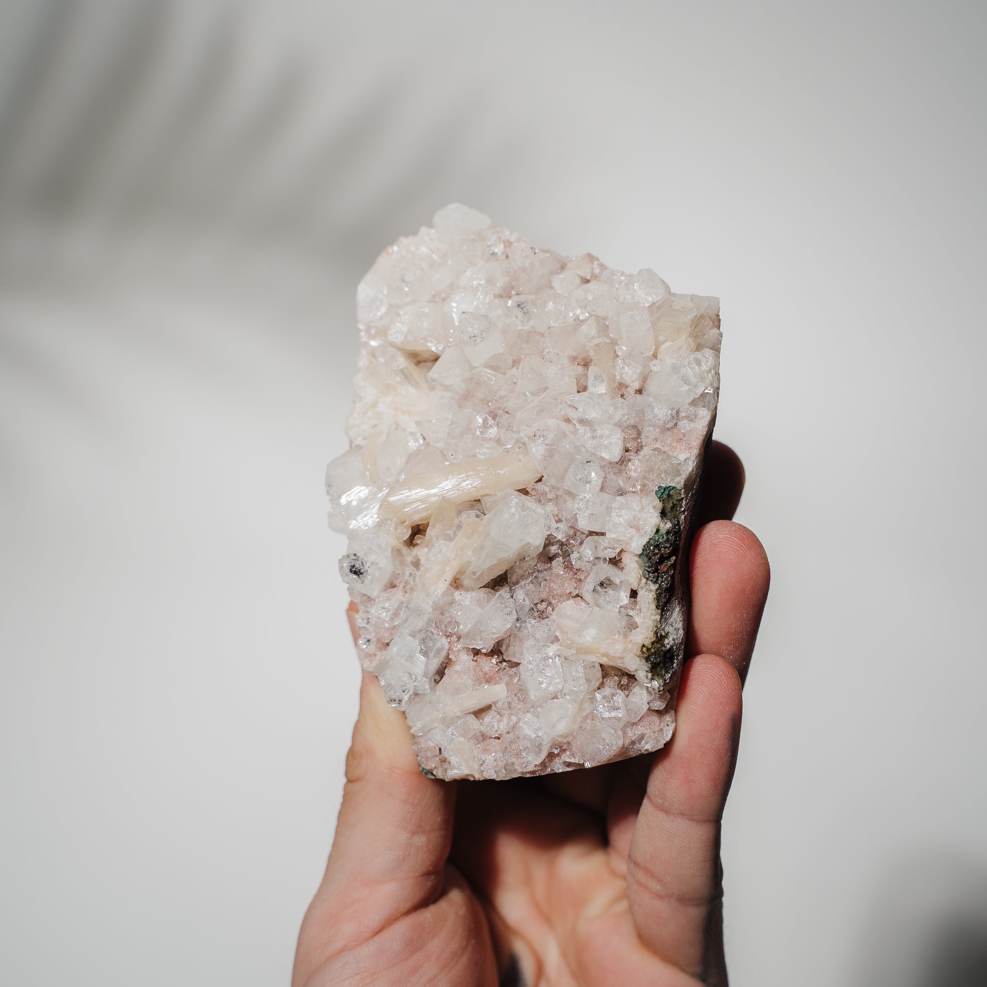 Pinke Apophyllit Stufe 60P