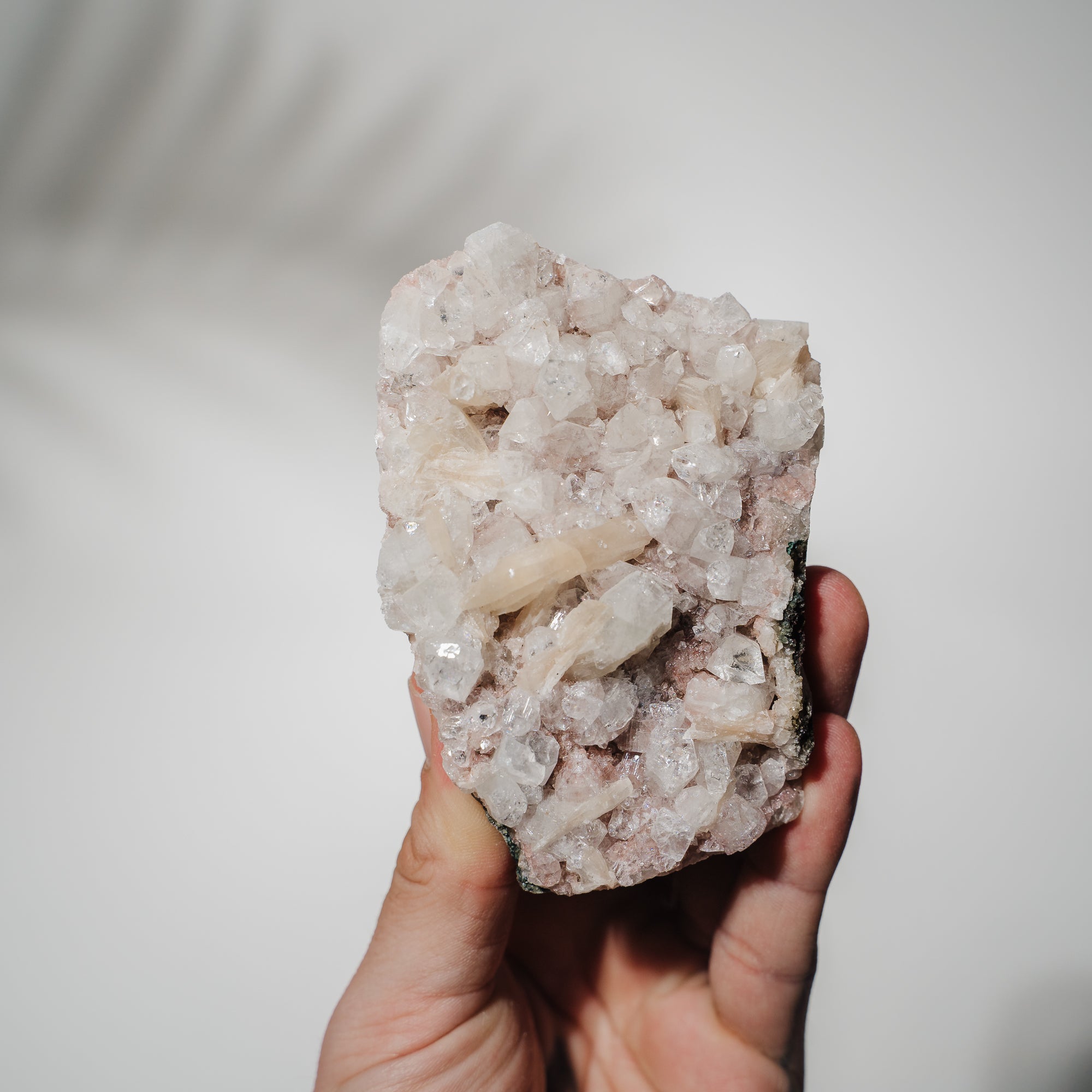 Pinke Apophyllit Stufe 60P